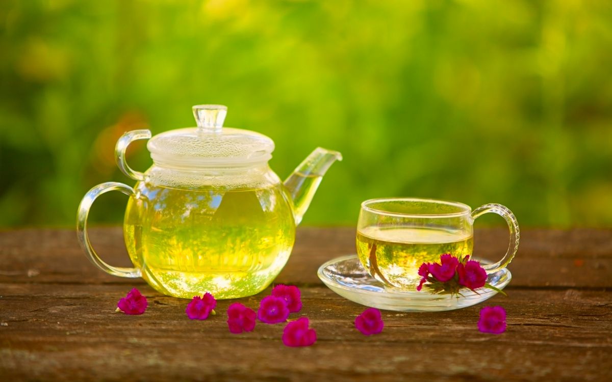 green tea, tea, cangkir, flowering tea, saucer