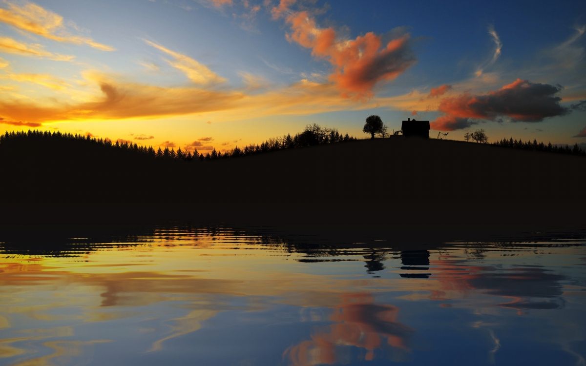 silhouette of trees beside body of water during sunset