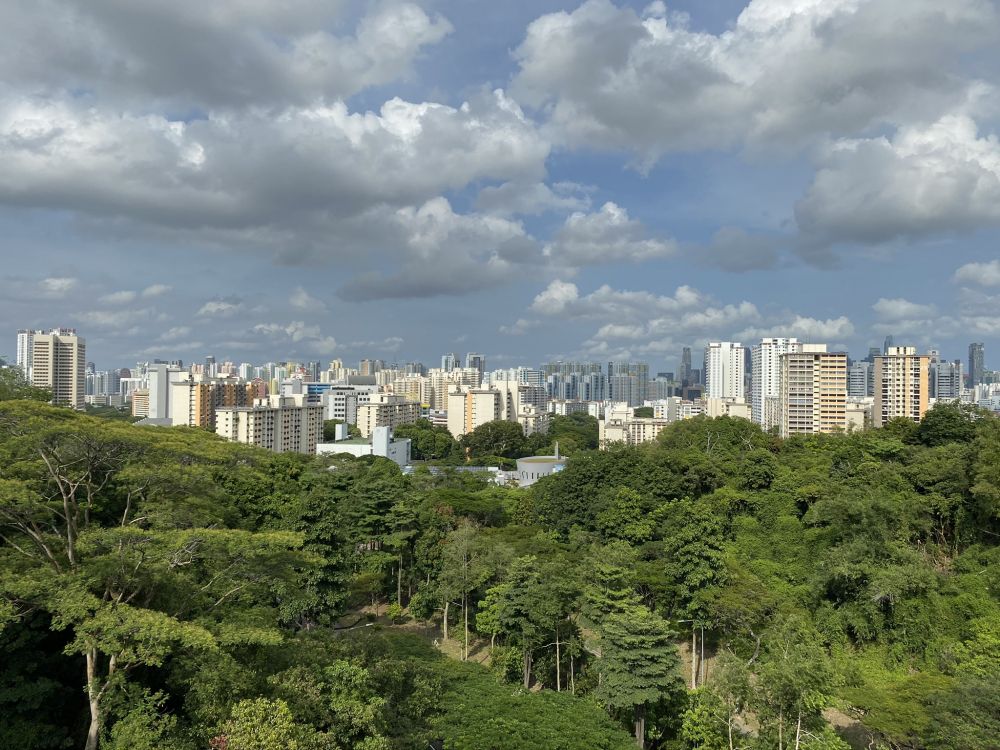 植被, 性质, 塔块, 街区, 城市 壁纸 2048x1536 允许