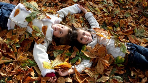 Image autumn, tree, leaves, friendship, child