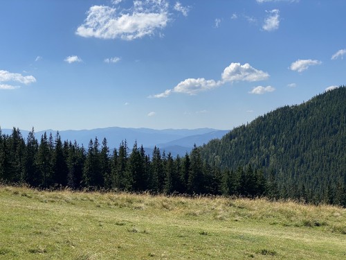 Image grassland, nature, vegetation, natural environment, natural landscape