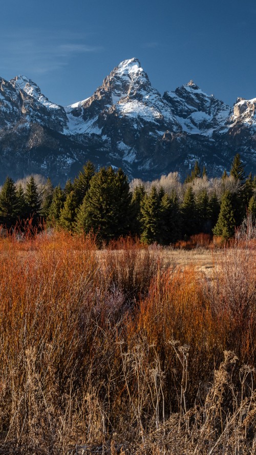 Image nature, mountain, plant, cloud, snow