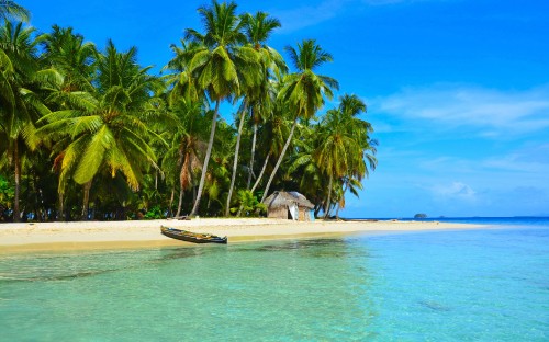 Image white and black boat on beach during daytime