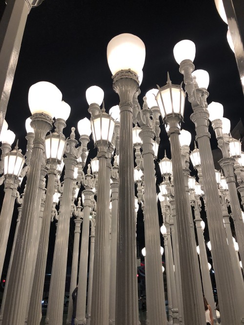 Image Los Angeles County Museum of Art, chandelier, lighting, light fixture, daytime