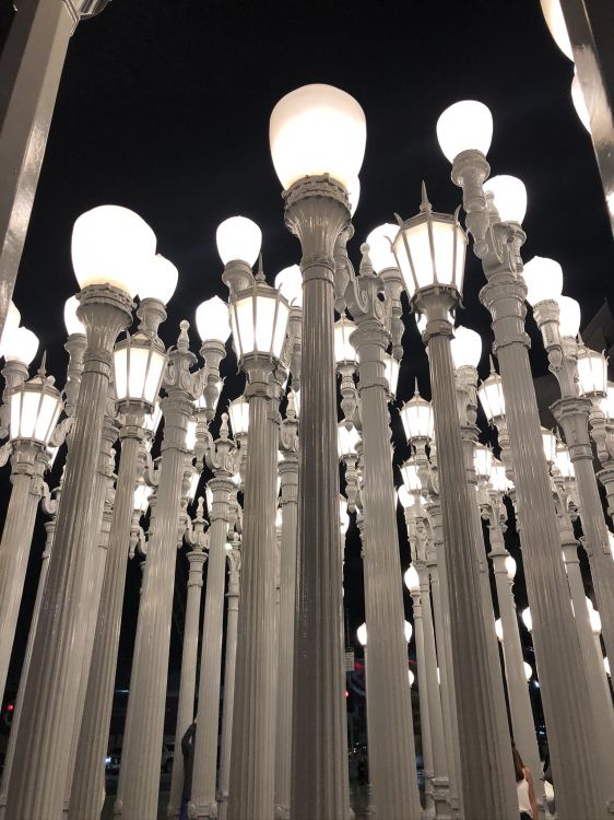 Los Angeles County Museum of Art, chandelier, lighting, light fixture, daytime