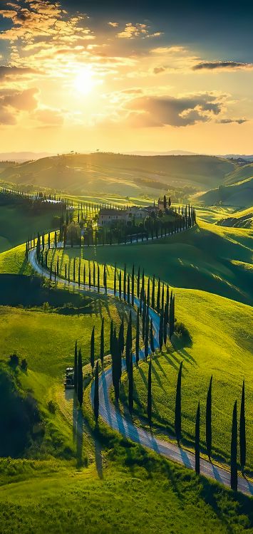 性质, 气氛, 生态区, 光, 自然景观 壁纸 1422x3000 允许