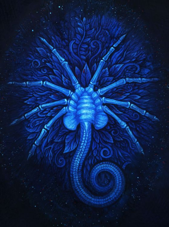 Blaue Und Schwarze Drachenillustration. Wallpaper in 2400x3218 Resolution