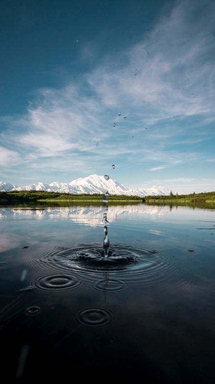 Réflexion, Eau, Wisgoon - Réseau Social, Android, Télévision Numérique. Wallpaper in 1080x1920 Resolution