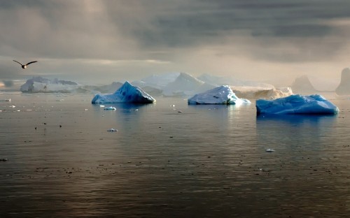 Image ice on water under cloudy sky