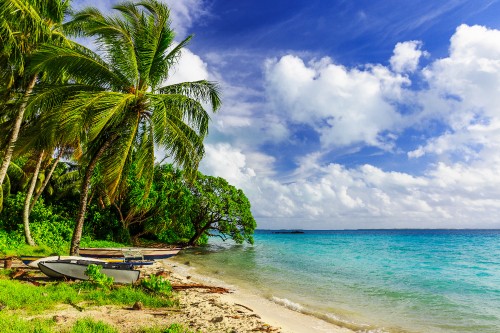 Image white and blue boat on beach during daytime