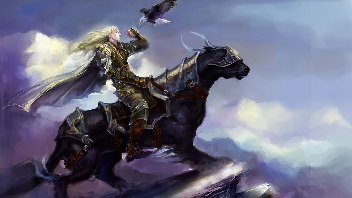 woman riding horse with wings illustration