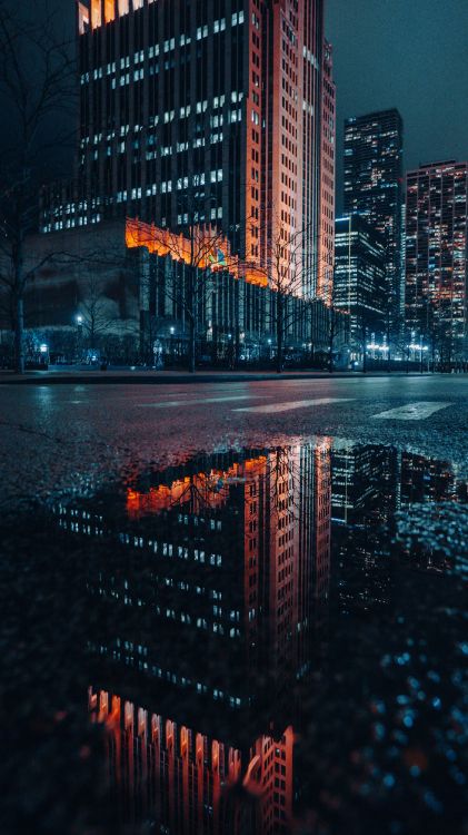 cityscape, water, building, daytime, skyscraper