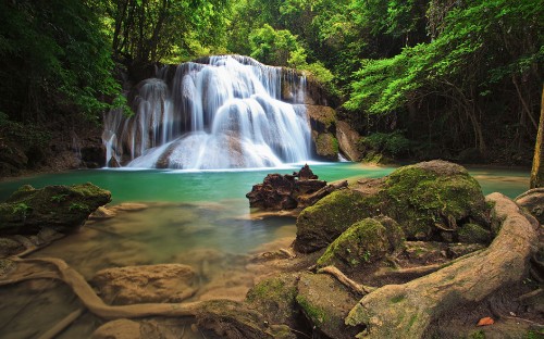 Image water falls in the middle of the forest