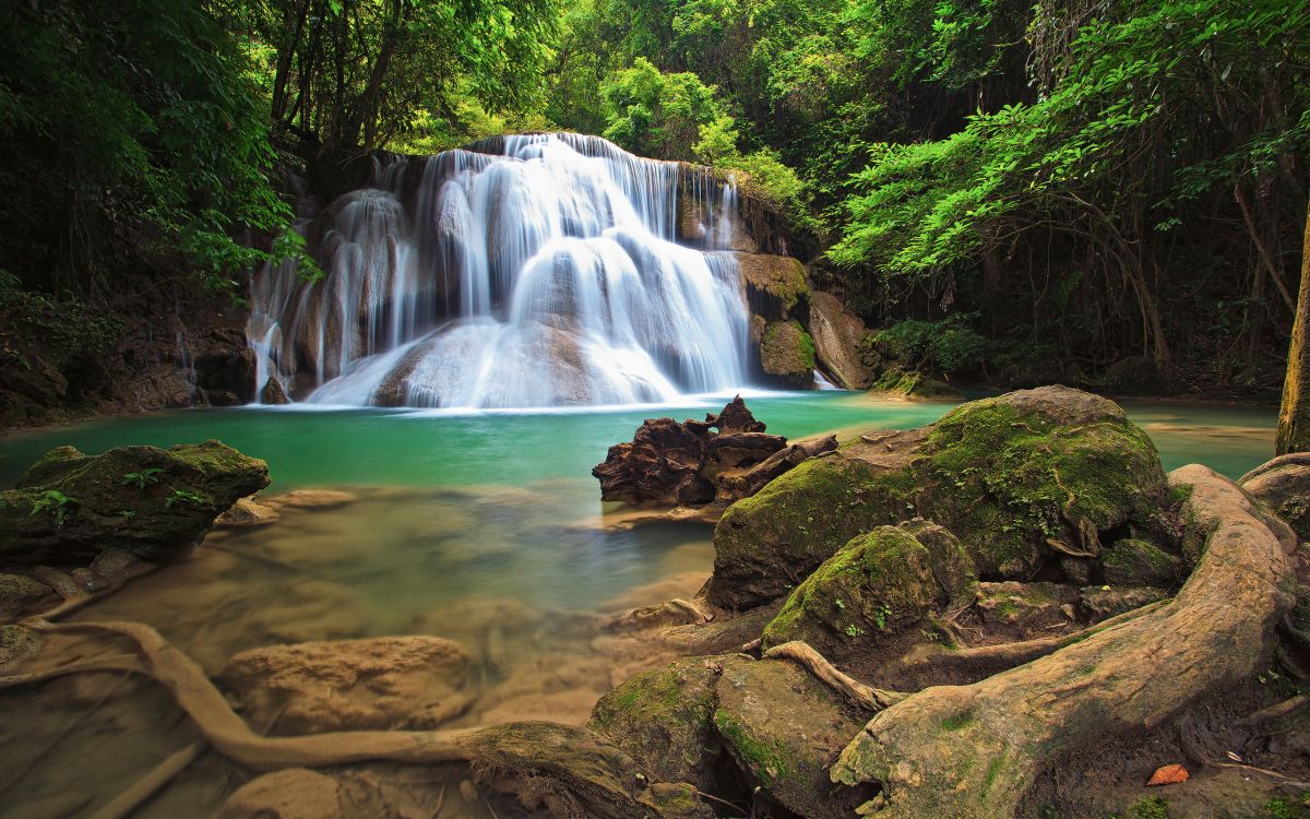 water falls in the middle of the forest