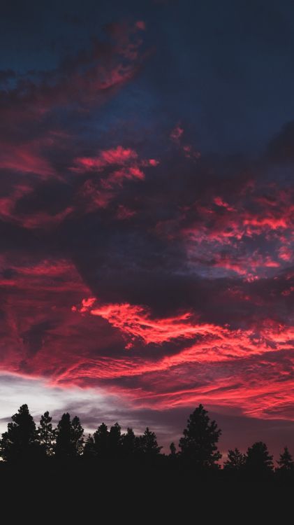 Cloud, Sonnenuntergang, Cumulus, Natur, Atmosphäre. Wallpaper in 1440x2560 Resolution