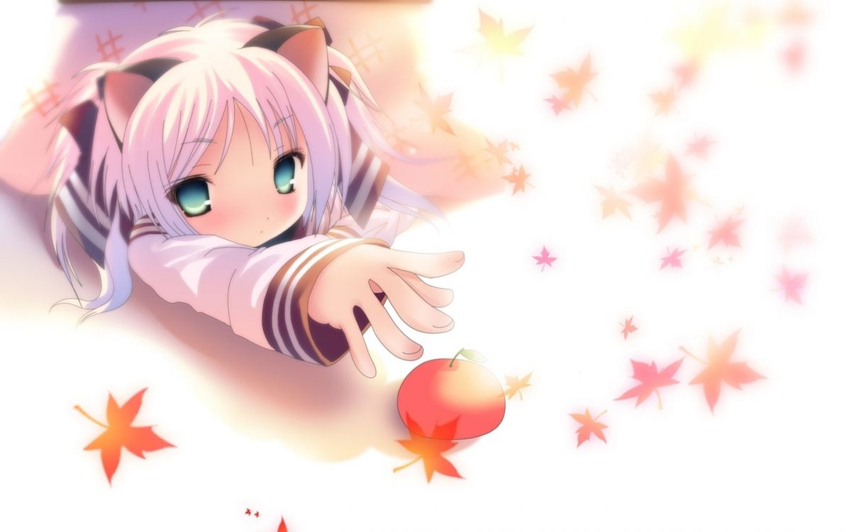 Catgirl, 卡通, 粉红色, 嘴, 萝莉控的画法 壁纸 2560x1600 允许