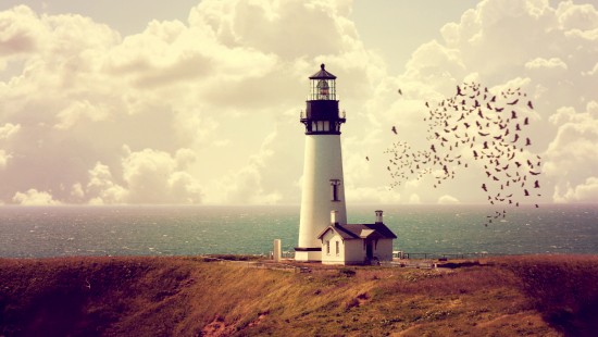 Image white and black lighthouse near body of water during daytime