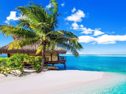 Image brown wooden bench on beach during daytime