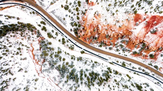 Image snow, slope, landscape, plant, urban design