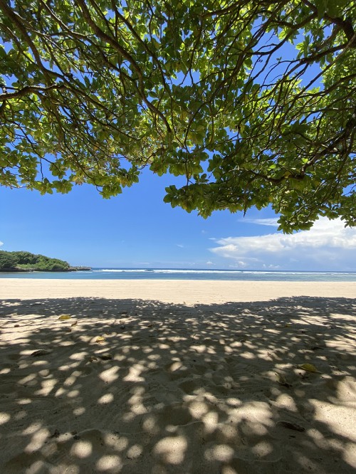 Image water, landscape, sunlight, sand, beach