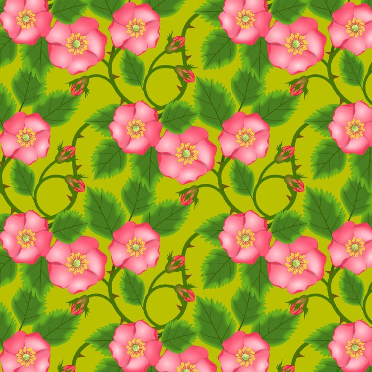 Fleurs Roses et Rouges Sur Feuilles Vertes. Wallpaper in 2354x2354 Resolution