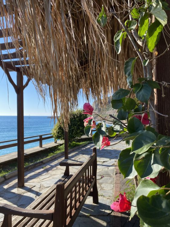 Vacaciones, Agua, Balneario, Madera, Muebles de Exterior. Wallpaper in 1536x2048 Resolution