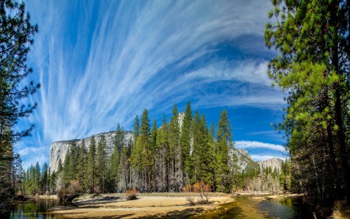 Image green pine trees under blue sky during daytime