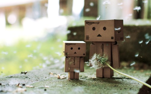 Danboard photography