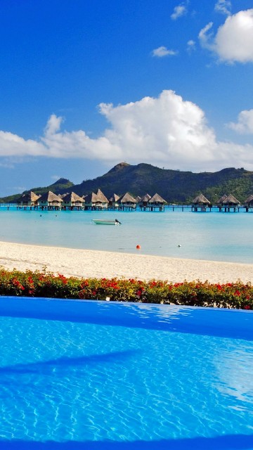 Image people on beach during daytime