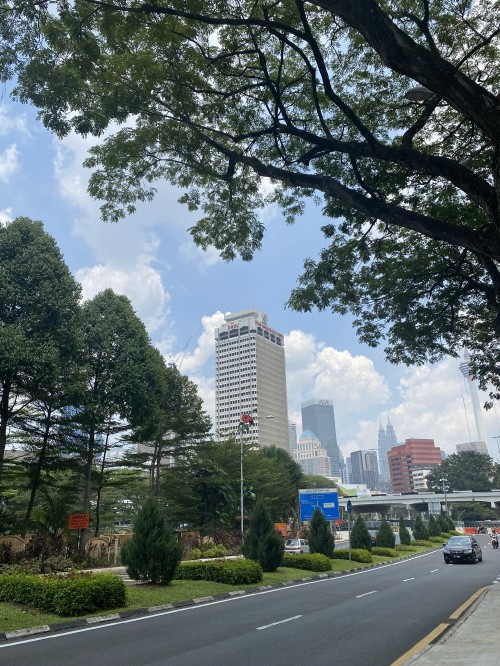 Image road, nature, vegetation, tower block, residential area