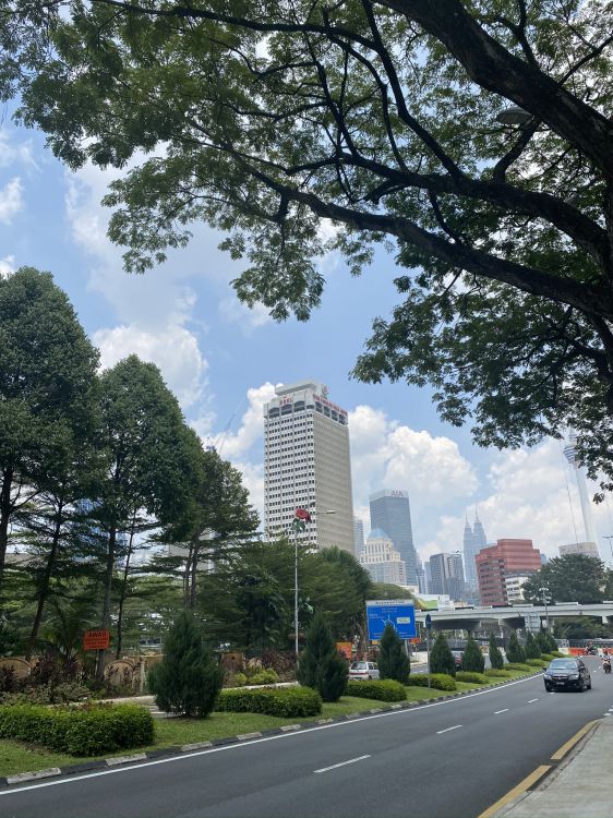 road, nature, vegetation, tower block, residential area