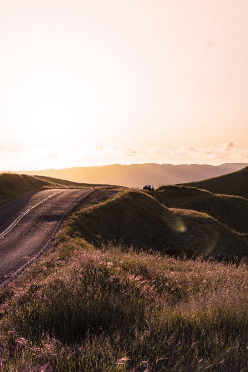 highland, hill, grassland, grass, natural environment