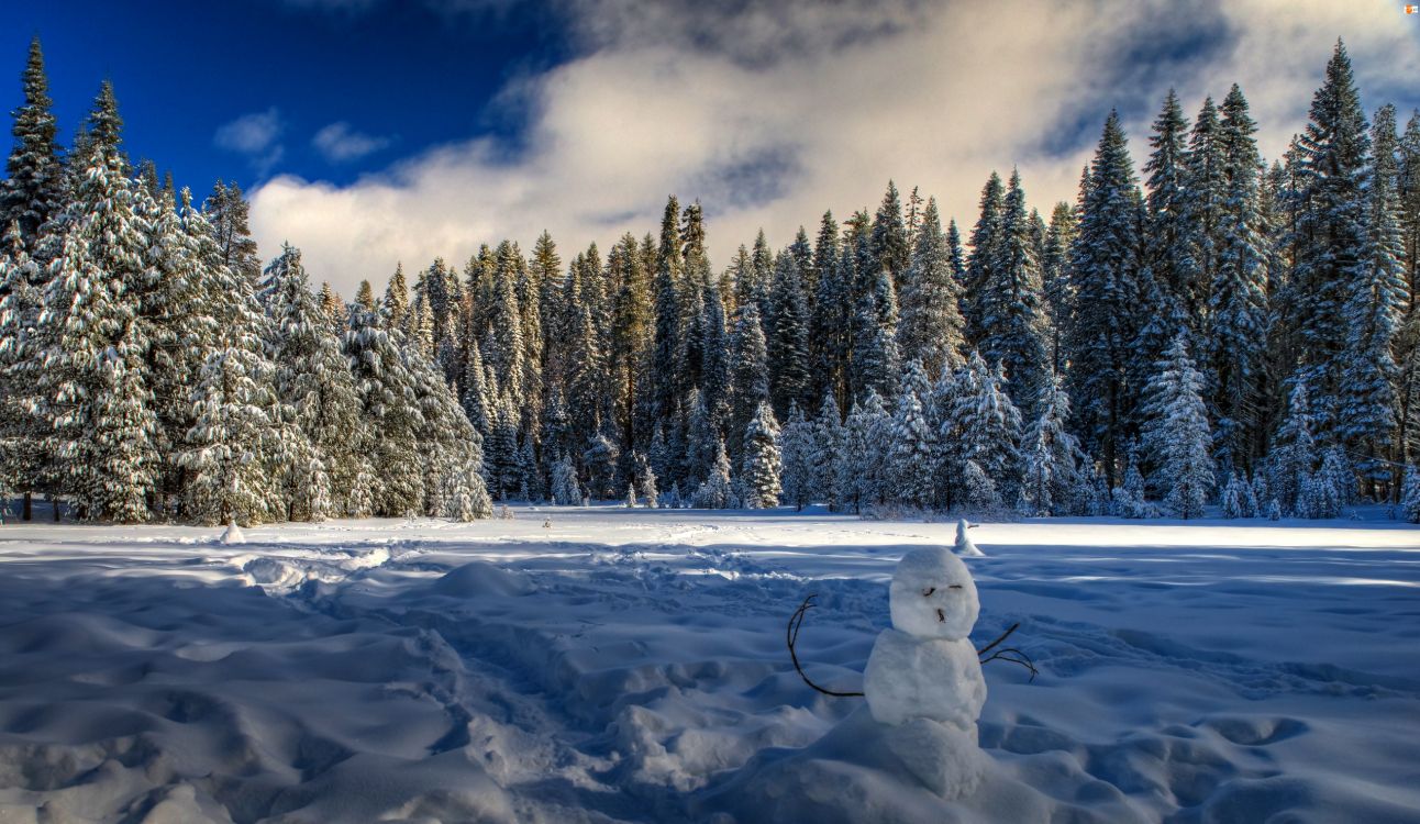 Weißer Schneemann Auf Schneebedecktem Boden in Der Nähe Von Bäumen Unter Bewölktem Himmel Tagsüber. Wallpaper in 5208x3023 Resolution