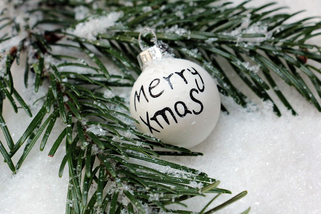 Christmas Day, christmas ornament, branch, tree, Colorado spruce