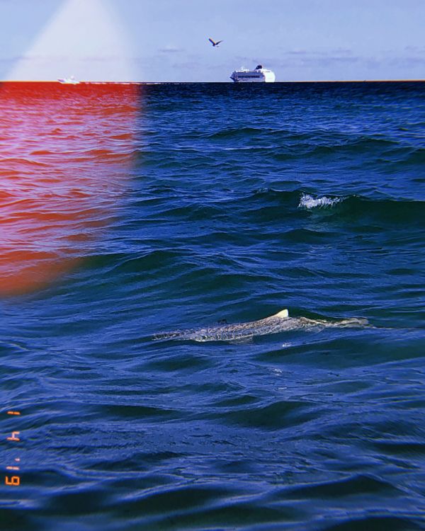 Meer, Ozean, Flüssigkeit, Farbigkeit, Horizont. Wallpaper in 2618x3272 Resolution