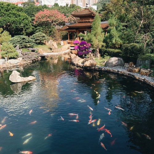 Image Hong Kong, reflection, watercourse, water resources, fish pond