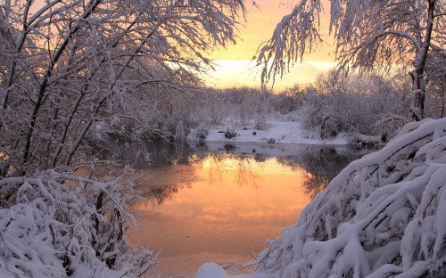 Image snow covered ground near body of water during daytime