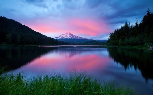 Image lake near green grass field and trees during daytime