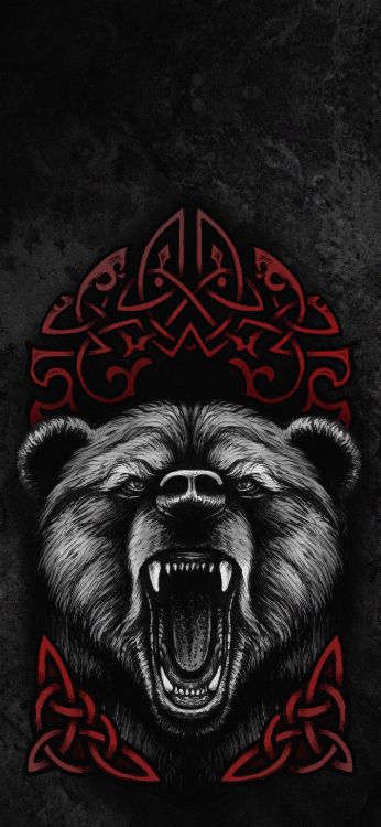 海报, 大衣, T恤, 套, 夹钳 壁纸 1407x3045 允许