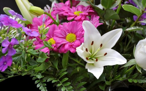 Image white and pink flowers with green leaves