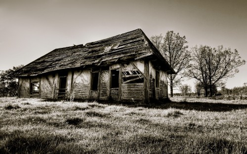 Image grayscale photo of wooden house near bare trees