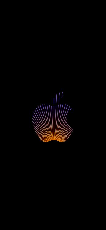 darkness, apples, telephone, night, graphics