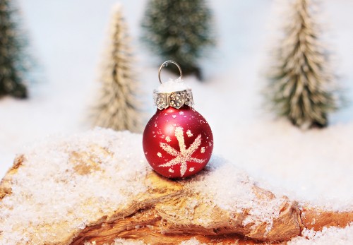 Image Christmas Day, christmas ornament, tree, christmas decoration, fir