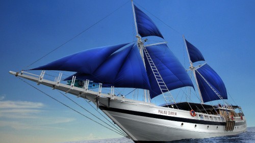 Image white sail boat on sea during daytime