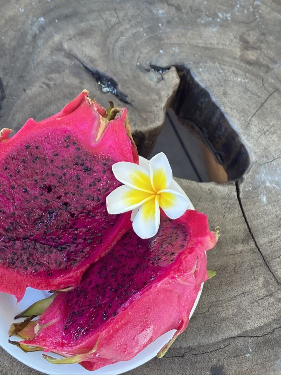 粉红色, 品红色, 甜头, 鸡蛋花 壁纸 1536x2048 允许