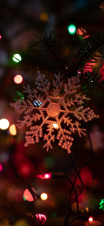 Image christmas lights, Christmas Day, christmas ornament, lighting, ornament