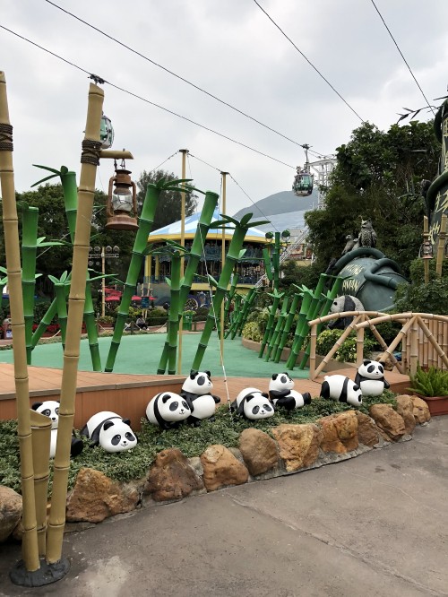 Image tree, giant panda, field, electricity, overhead power line