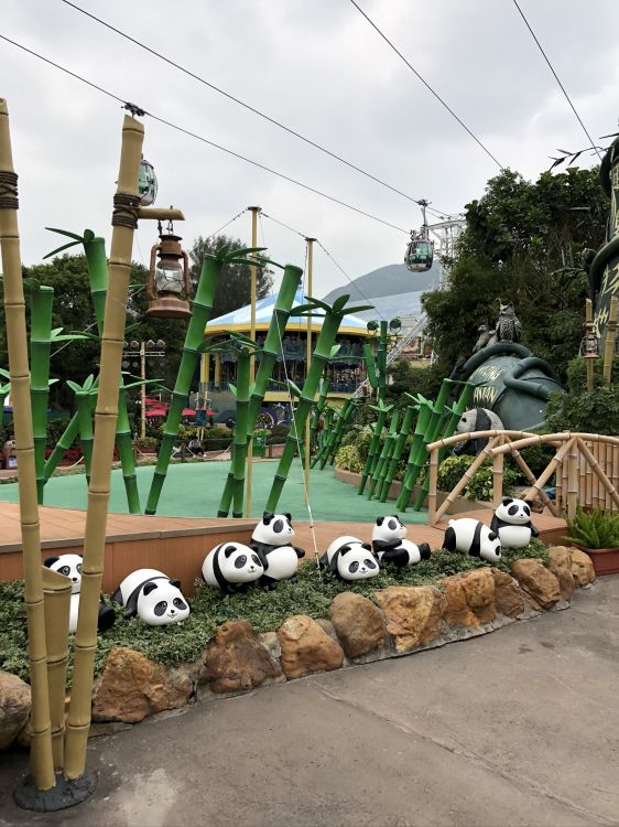 tree, giant panda, field, electricity, overhead power line