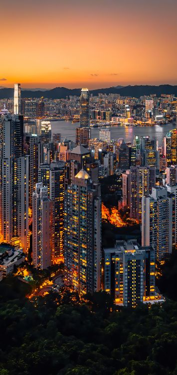 Edificio, Ambiente, Propiedad, Torre, Luz. Wallpaper in 1421x3000 Resolution