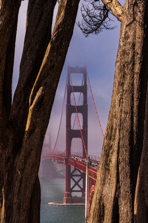 Image golden gate bridge under blue sky during daytime